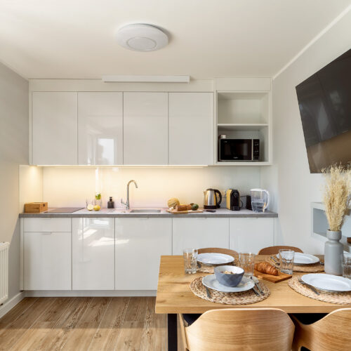 Apartament nr 1 z 1 sypialnią